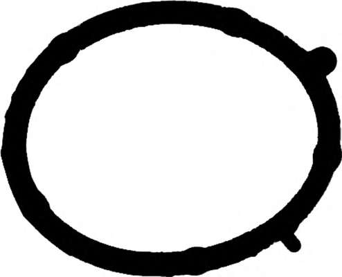 Прокладка колект. IN Fiat Doblo 1.9D 188A3