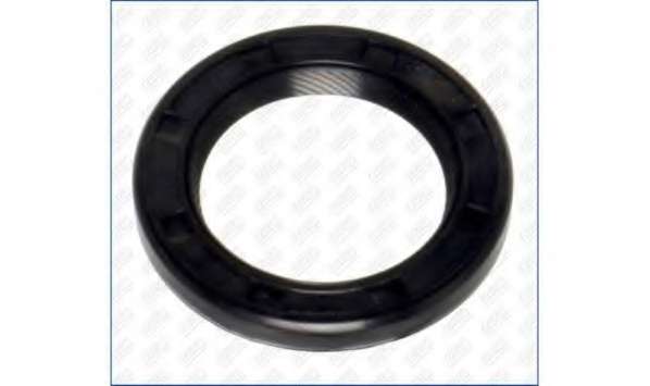 Уплотняющее кольцо, коленчатый вал. Уплотняющее кольцо, распределительный вал