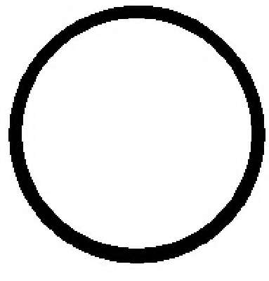 Прокладка IN колл.(1шт.) DB 2,2CDI(OM611.961/2, OM646.951/961-3)