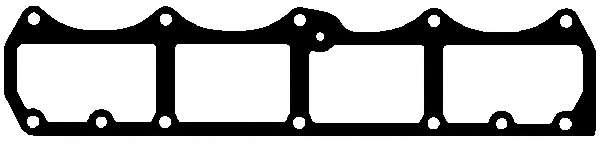 Прокладка крышки клапанов Fiat Doblo1.6 16V 01-
