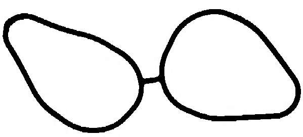 Прокладка колл.IN Opel 2.5V6 24V X25XE (3)