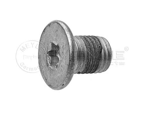 Болт крепления диска тормозного MB Sprinter (906)/VW Crafter I 06- (M8x1)