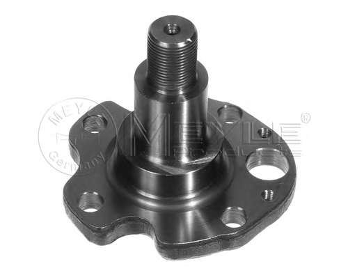 Кулак поворотный (цапфа) VW Caddy II 95-04 (задний)