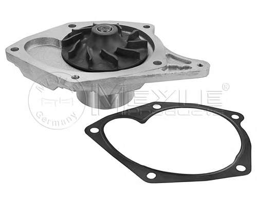 Помпа воды Renault Kangoo 1.5dCi 08- (d=74mm)