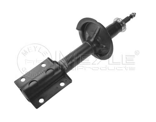 Амортизатор (передний) Fiat Ducato (14