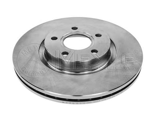 Диск тормозной (передний) Ford C-Max/Focus II-III/Kuga I-II/Connect/Volvo C30/C70/S40 03- (300x25)