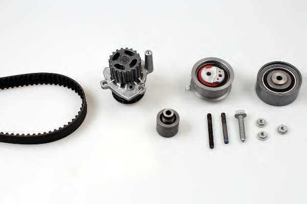 Комплект ГРМ + помпа Audi A4/A6/VW Golf V 2.0TDI 04-13 (141x30)