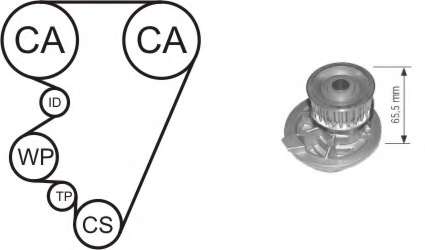 Водяной насос + комплект зубчатого ремня