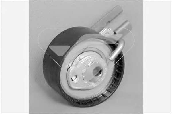 Ролик ГРМ Citroen Berlingo/Nemo 1.6HDI (натяжной) (60x29)