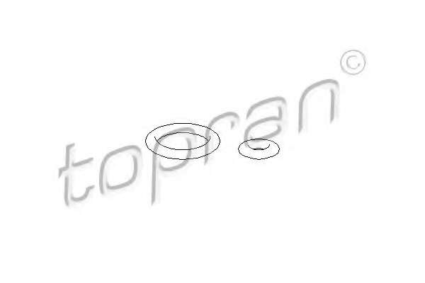 Комплект прокладок, форсунка