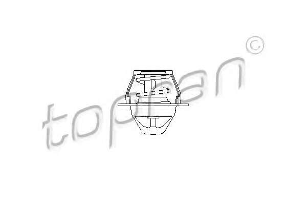 Термостат, охлаждающая жидкость