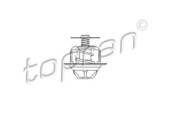 Термостат, охлаждающая жидкость