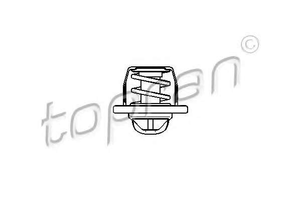 Термостат, охлаждающая жидкость