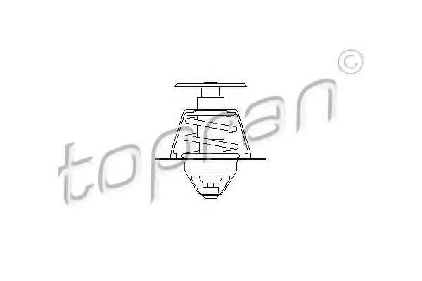 Термостат, охлаждающая жидкость