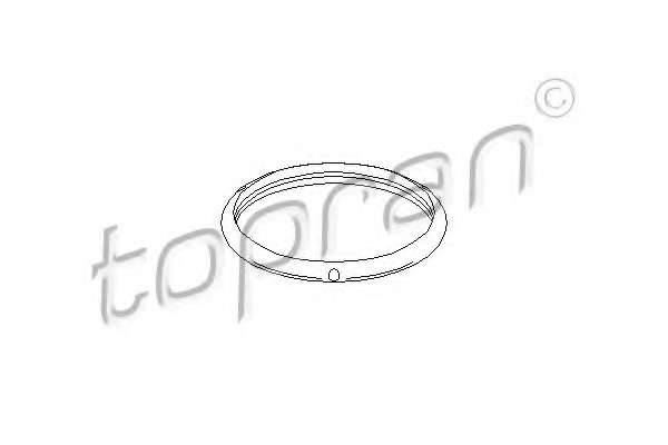 Прокладка, термостат