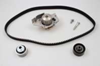 Комплект ГРМ + помпа Citroen Jumpy/Peugeot 306/Fiat Scudo 1.9D/Toyota Corolla 98-08(140x25.4)(PA747)