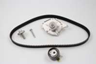 Комплект ГРМ + помпа Renault Kangoo/Megane/Scenic 1.5dCi 01-04/Nissan 1.5dCi 03-10 (123x27) (PA821)