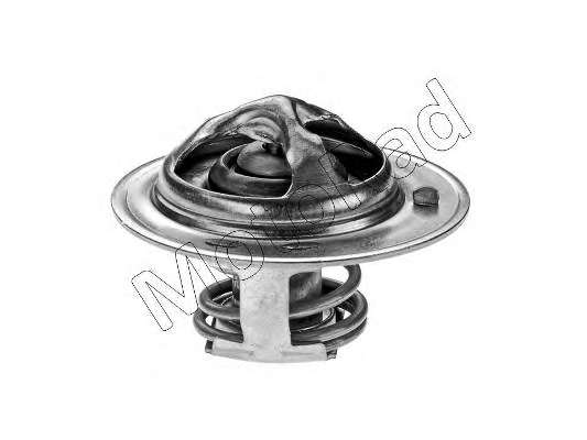 Термостат, охлаждающая жидкость