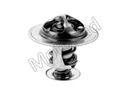 Термостат, охлаждающая жидкость