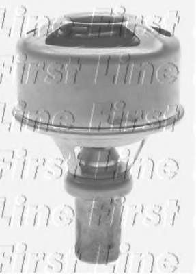 Термостат, охлаждающая жидкость