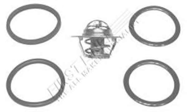 Термостат, охлаждающая жидкость