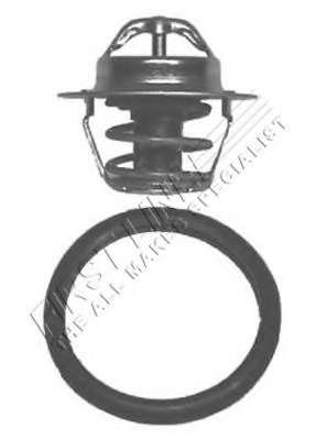 Термостат, охлаждающая жидкость