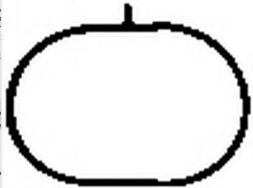 Прокладка, впускной коллектор