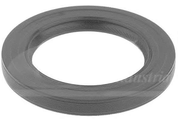 Уплотняющее кольцо, коленчатый вал