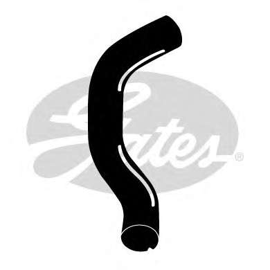 Шланг радиатора