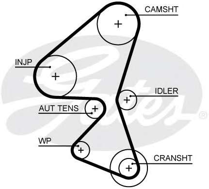 Ремень ГРМ Citroen C3/Peugeot 206/207/208 1.4 HDI 09-/Ford Fiesta 1.4 TDCi 10- (25.4x139z)