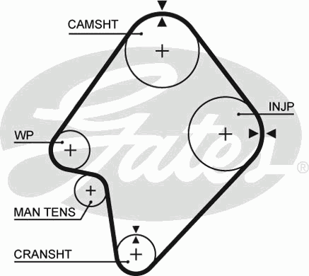 Ремень ГРМ Kia Sportage 2.2D 85-04