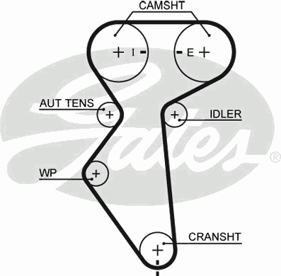 Ремень ГРМ Daewoo Lanos/Nubira 1.6