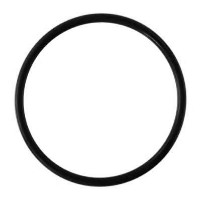 Прокладка, термостат