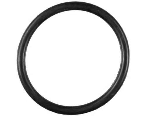 Прокладка, термостат