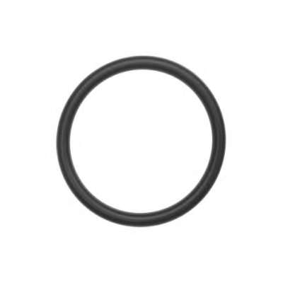 Прокладка, термостат