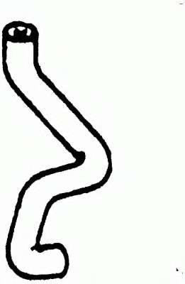 Шланг радиатора