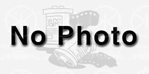 Несущий / направляющий шарнир