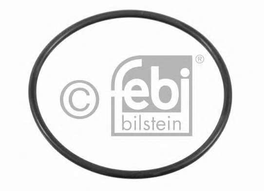 Уплотнительное кольцо. Уплотнительное кольцо, поворотного кулака