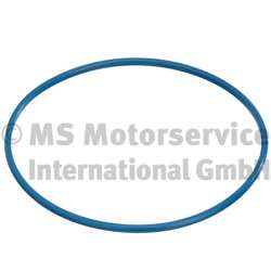 Прокладка крышки насоса топливного Peugeot Partner 08- (кольцо)