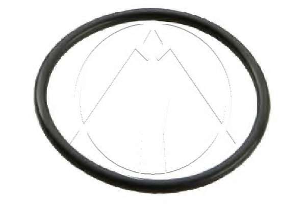 Уплотнительное кольцо